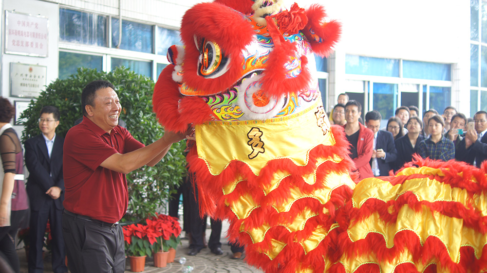 2015新春舞狮