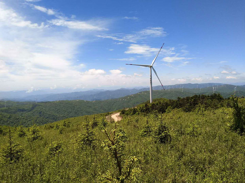 国电龙源观日台风电场
